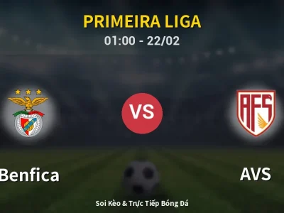 Kết Quả: Benfica 3-0 AVS – Highlight & Bàn Thắng | Primeira Liga